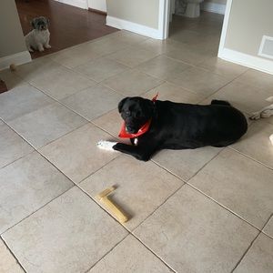 Meet your Posher, Alexandra